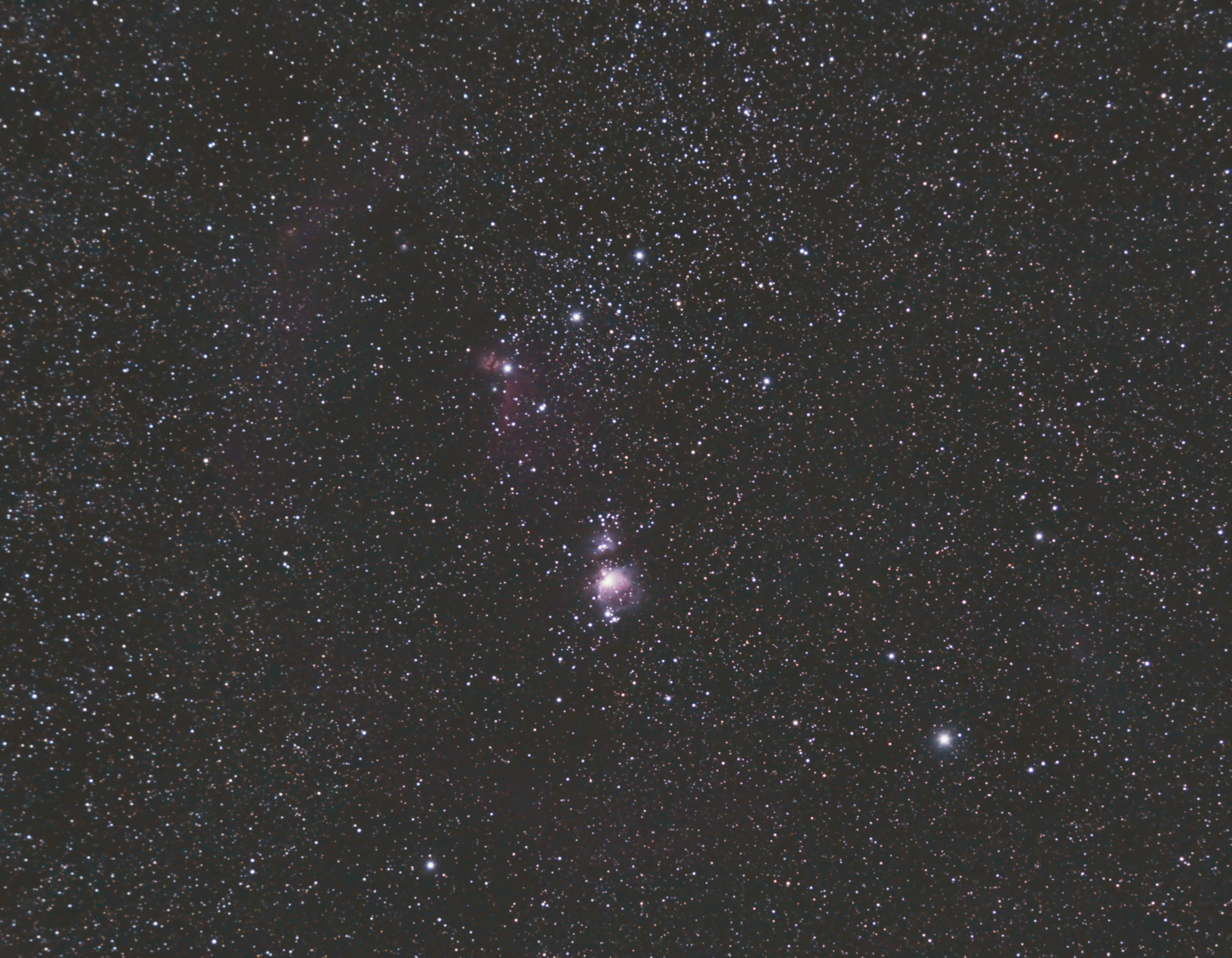 Orion